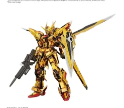 AKATSUKI GUNDAM OOWASHI Unit RG 1/144