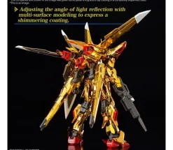 AKATSUKI GUNDAM OOWASHI Unit RG 1/144