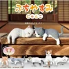 Fuchiyasumi ~Cat~
