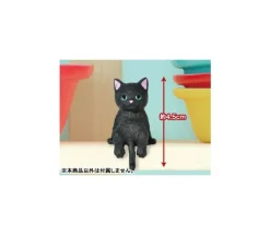 Fuchiyasumi cat 2