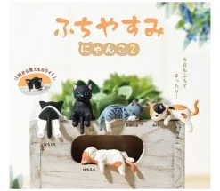 Fuchiyasumi cat 2