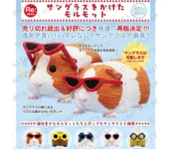 Guinea Pig Wearing Sunglasses