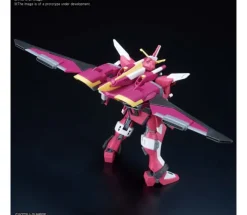 #231 Gundam Infinite Justice HGCE 1/144