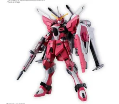 INFINITE JUSTICE GUNDAM TypeⅡ HG
