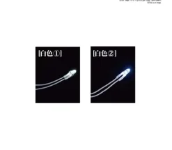 LED Unit [White] 12 Light , Bandai Spirits
