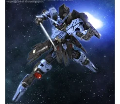 MG 1/100 GUNDAM VIDAR