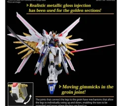 MIGHTY STRIKE FREEDOM GUNDAM HG