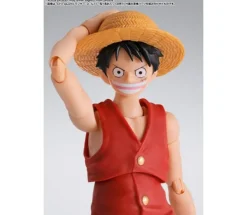 MONKEY.D.LUFFY -ROMANCE DAWN- S.H.Figuarts
