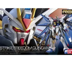 Real Grade Strike Freedom Gundam