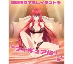 Rias Gremory Lingerie Ver.