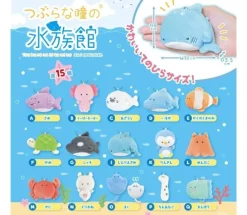 Round Eye Aquarium Seals