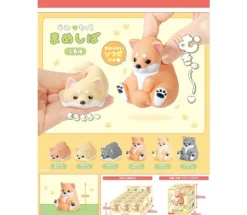 Soft and chewy Mameshiba