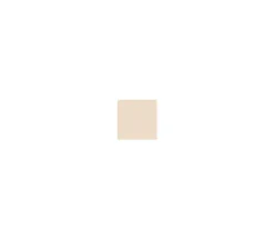 WC14 White Dust Mr. Weathering Color